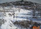 雪日徘徊8